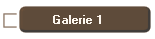 Galerie 1