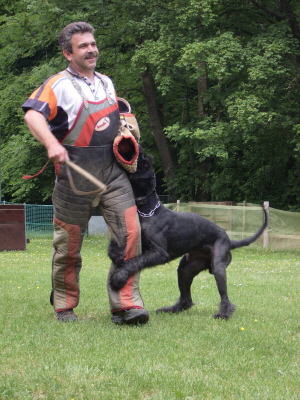 Dieter 