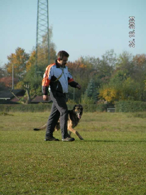 Herbstpr�fung 04