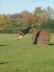 Herbstpr�fung