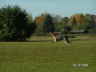 Herbstpr�fung