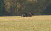 Herbstpr�fung