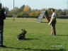 Herbstpr�fung