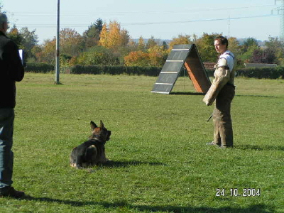 Herbstpr�fung