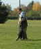 Herbstpr�fung