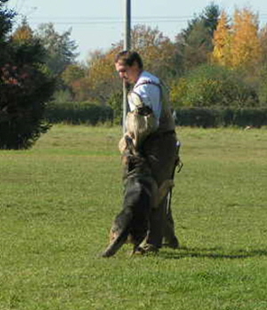 Herbstpr�fung