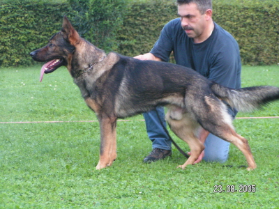 Diego
