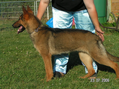 Emely vom Kirchberghof
